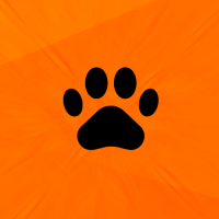 Pets e Serviços Veterinários