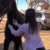 Clivet – Clínica Veterinária