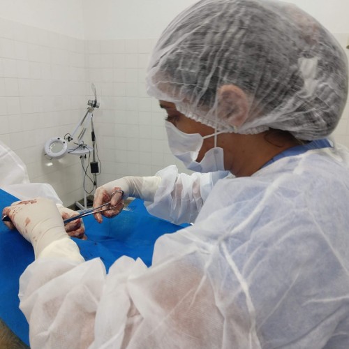 Clivet – Clínica Veterinária